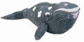 Northern Right Whale Plush Toy