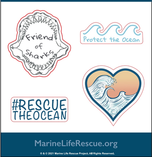 Friend of Sharks Mini Stickers