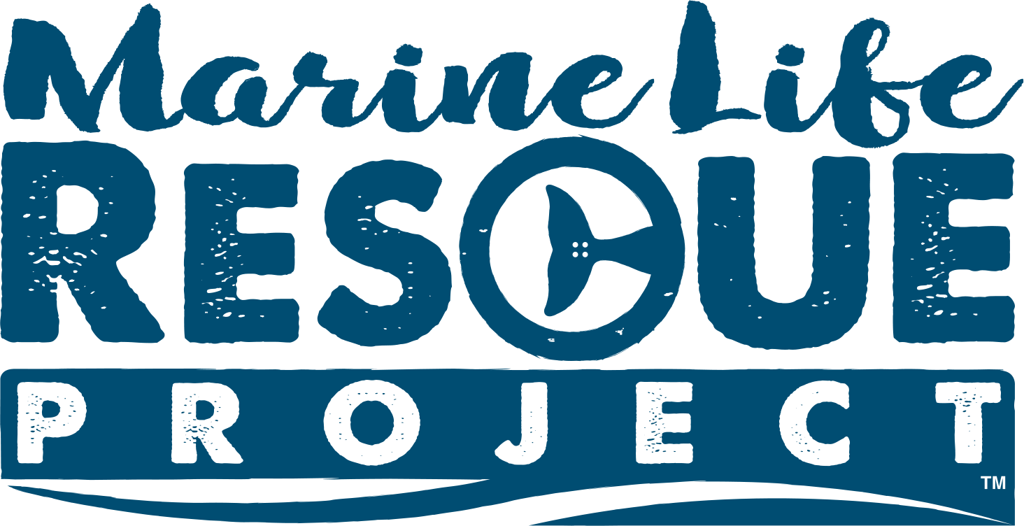 Marine Life Rescue Project