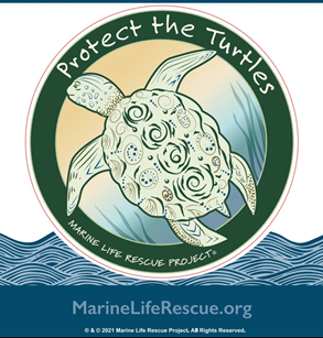Protect the Turtles Sticker