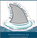 Shark Fin Sticker