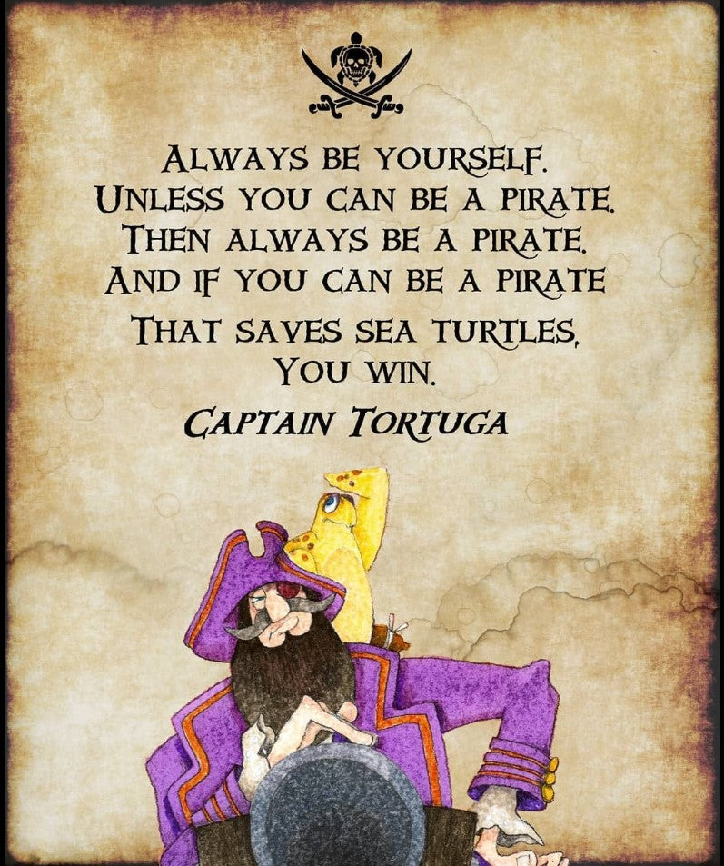 Captain Tortuga and the Treasure of Sand Key Book