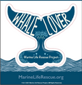 Whale Lover Sticker
